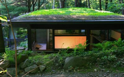 Рассел Райт, Манитога