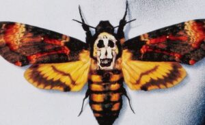 Филипп Халсман: друг Сальвадора Дали и автор обложки к «Молчанию ягнят»