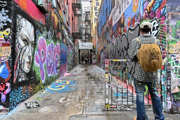 Аллея Фримена (Freeman Alley) — переулок с граффити в Нью-Йорке Аллея Фримена (Freeman Alley)