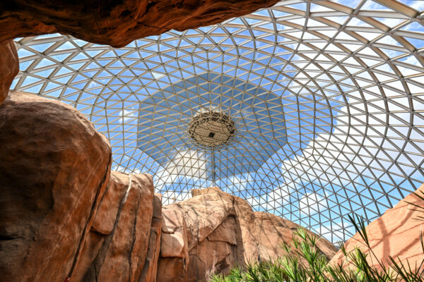 Зоопарк Henry Doorly Zoo & Aquarium в Омахе (Штат Небраска) Зоопарк Henry Doorly Zoo & Aquarium в Омахе (Штат Небраска)