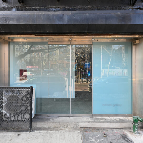 Галерея цифрового искусства bitforms gallery в Нью-Йорке