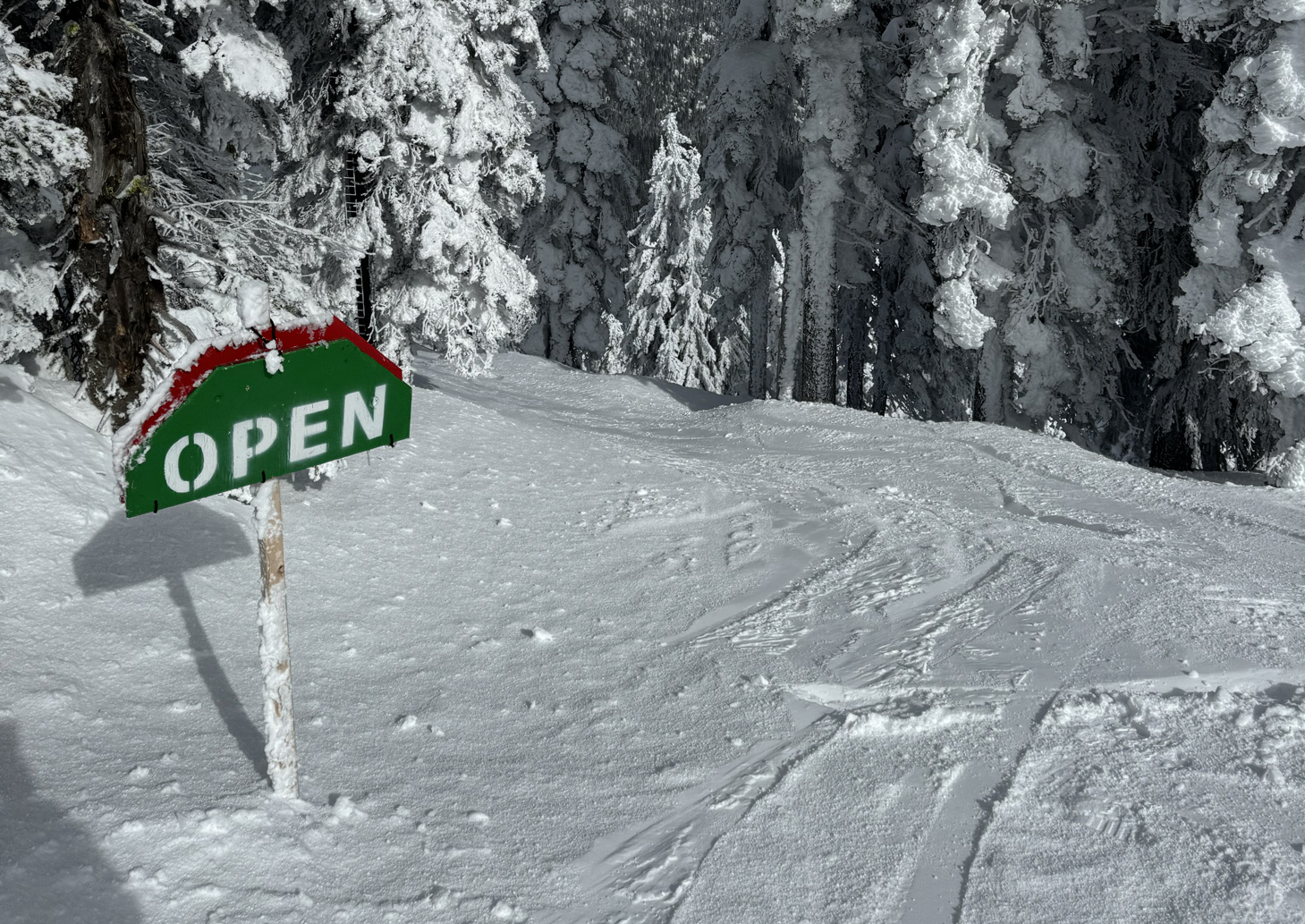 «Лыжная монополия»: почему зимние виды спорта в США стали дорогим удовольствием