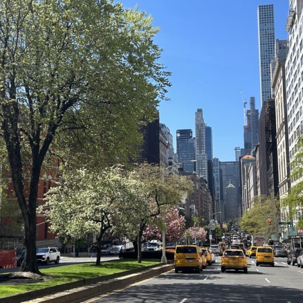 Парк-авеню (Park Avenue) в Нью-Йорке