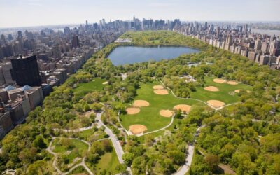 Центральный парк в Нью-Йорке (Central Park)