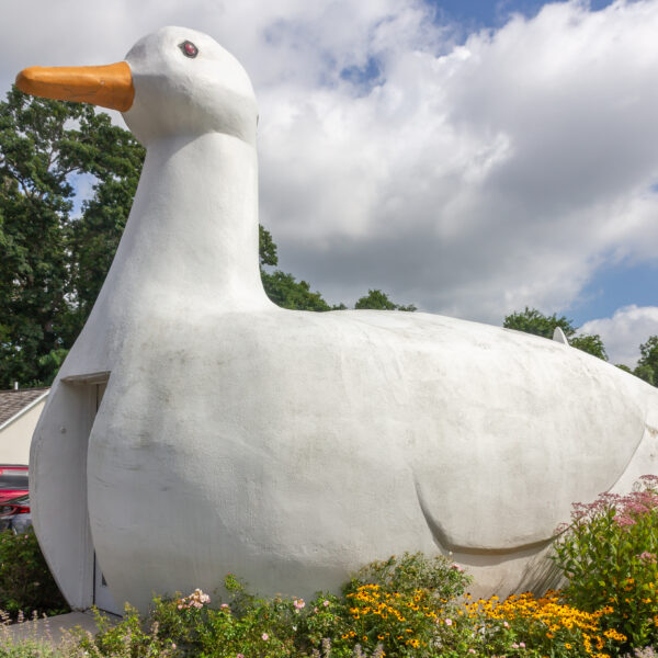 The Big Duck