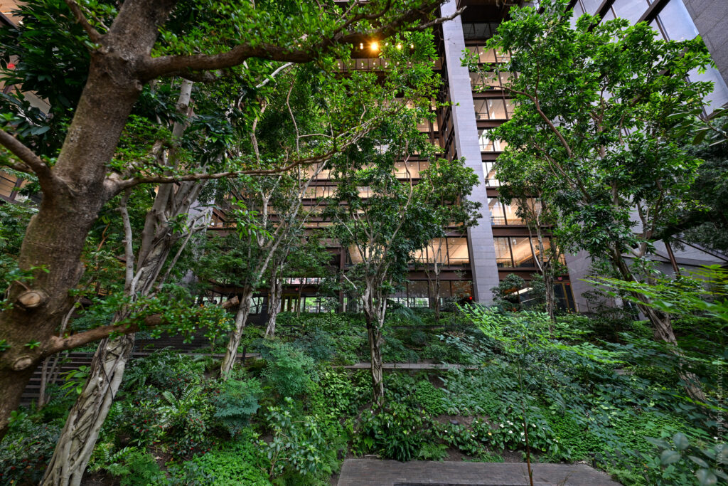 Ford Foundation
