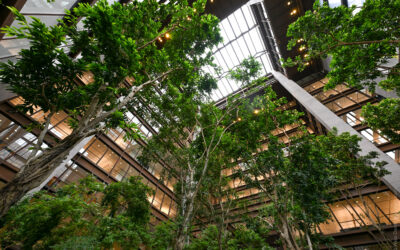 Ford Foundation