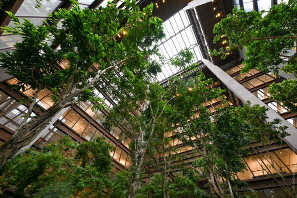 Ford Foundation