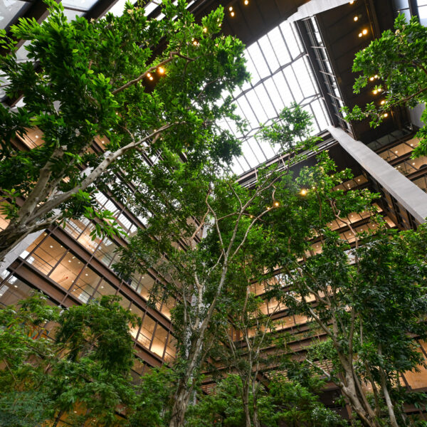 Ford Foundation